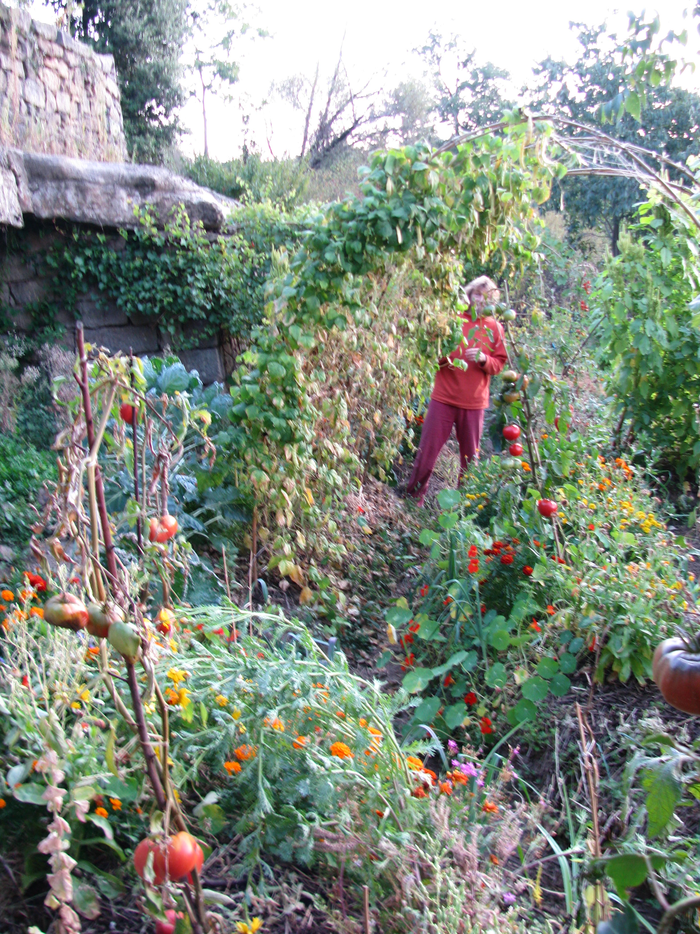 Photo de jardin 4